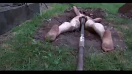 Дівчина, krasivoe po ...