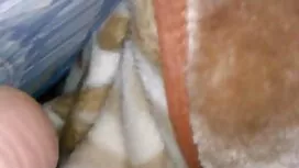 Маленькі діти також  ...